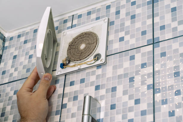 Air Duct Mold Removal in Valley, AL