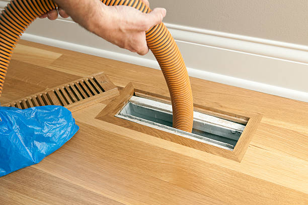 Best Local Air Duct Cleaning Services  in Vley, AL
