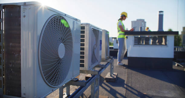Best Air Duct Mold Removal  in Vley, AL