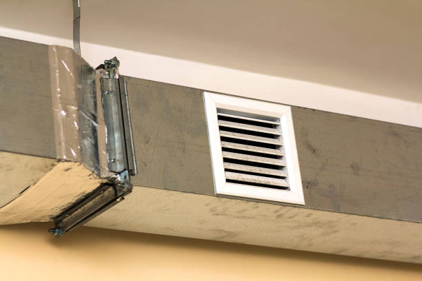 Best Professional Duct Cleaning Services  in Vley, AL